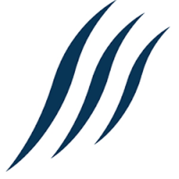 Search Shark - SEO Company